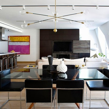 Tribeca Penthouse