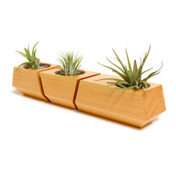 Boxcar Planter - Douglas Fir - Products