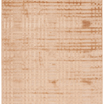 Safavieh Paradise Collection Par160-1660 Taupe / Taupe Rug