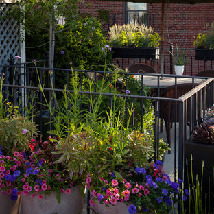 ボストンの中サイズのエクレクティックスタイルのおしゃれな屋上のデッキ (日よけなし) の写真