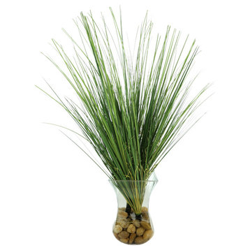 Organic Modern Onion Grass Bush in a glass vase with acrylic water and rocks