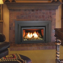 Enviro E20 Series 36'' x 24'' Direct Vent Gas Insert Fireplace - Indoor Fireplaces