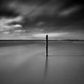 Photo de Yee Ng