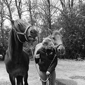 Melanie Gerling's photo