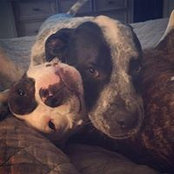 Kelly Nelson's photo