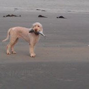 Alison Jones's photo