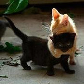 Michelle Zauss's photo