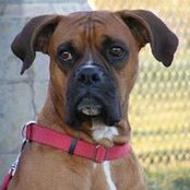 Brad Kinion's photo