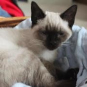 Leigh Ann Lapinski's photo