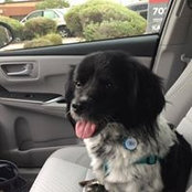 Peggy Gurule's photo