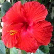 Tami Postiy Kicos's photo
