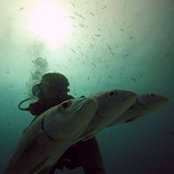 Ramee Mossa's photo