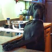 Paula Ridl's photo