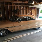 Mike Murray's photo