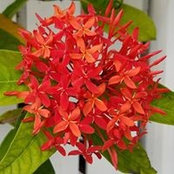 Rhoda Dompier's photo
