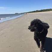 Dan Czajkowski's photo