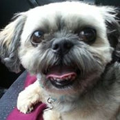 Sadie Tull's photo