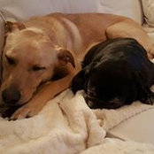 Foto von Bella Lily Eisnor