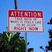 Amy Lacoste's photo