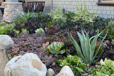 Photo of a landscaping in Los Angeles.