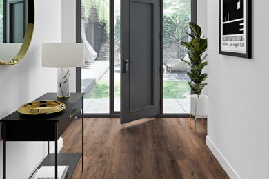 Entryway - contemporary entryway idea