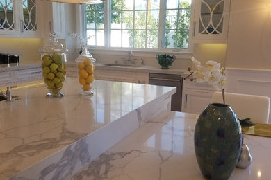 Kitchen - traditional kitchen idea in Los Angeles