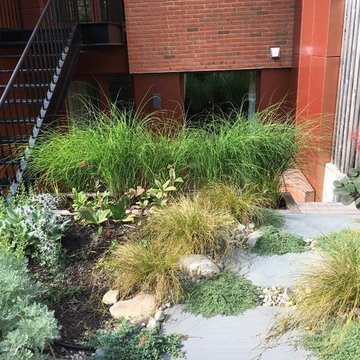 Cobble Hill Organic Modern