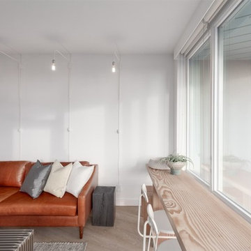 Living Room - Transitional