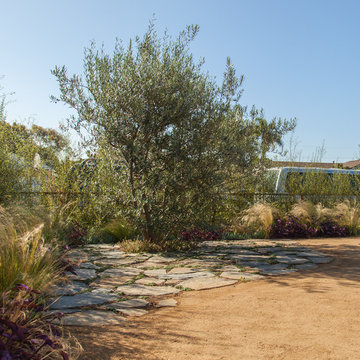 Mar Vista
