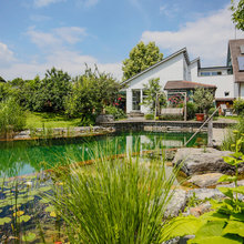 Natural Pools
