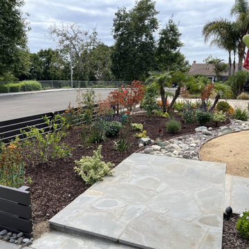 Front Yard Refresh 2023