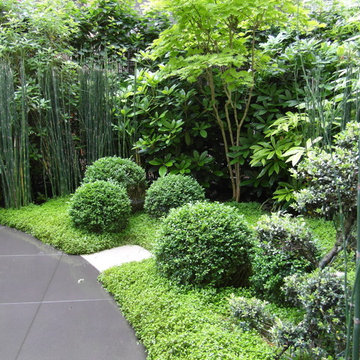 Petit jardin contemporain parisien