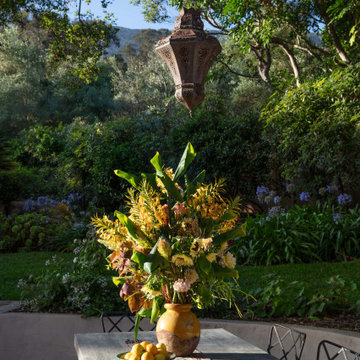 Buena Vista - Santa Barbara, CA