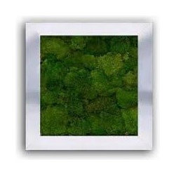 Silver Frame with Moss - Paintings