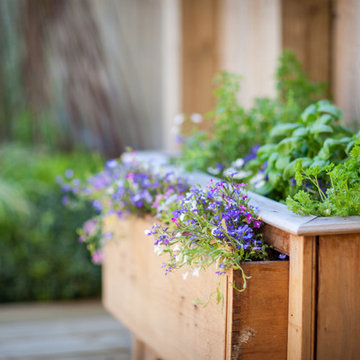 Family Garden Lewisham