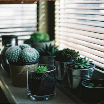 Designer Window Treatments