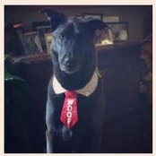 Camille Lockhart's photo