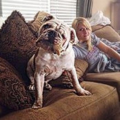 Allison Hardys foto