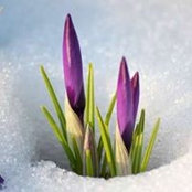 Cindy Liles's photo