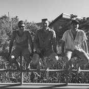 Adam Lebowitz's photo