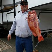 Sean Weiby's photo