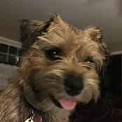 Susan Lautman's photo