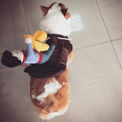 Photo de Connie Tseng