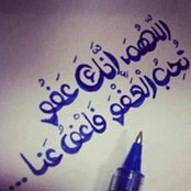 Foto von Amina El Cheikh