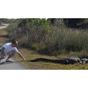 Manuel Rocha's photo