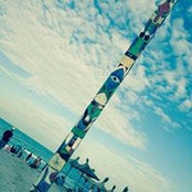 Dan Baicu's photo