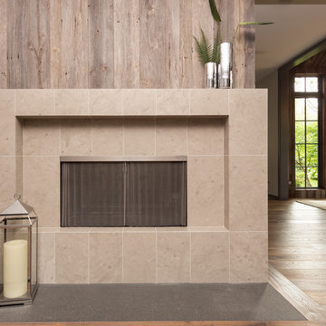 European Modern Home in Naperville