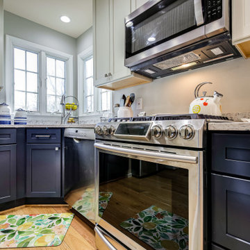 Transitional Two-finish Kitchen Design Alexandria, VA