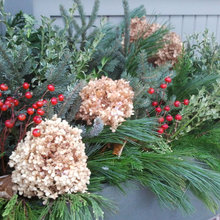Winter pots