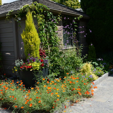 Raised Vegetable Bed / Ornamental Garden 2016